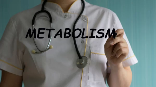 Como Acelerar o Metabolismo